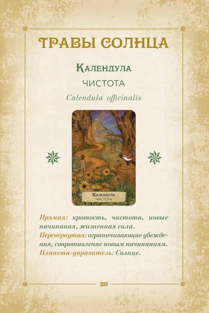 Оракул. Магия звезд и растений. Таро, гадания и знаки (55 карт и руководство)